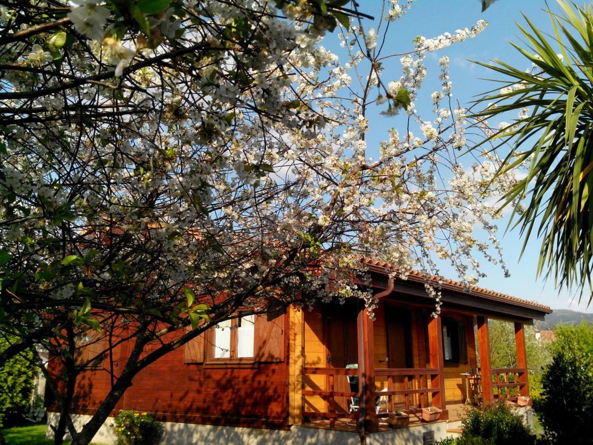 Mi Cabaña Villa Ribadumia Exterior foto